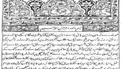 دانلود کتاب طلسم نوخیز جمشیدی